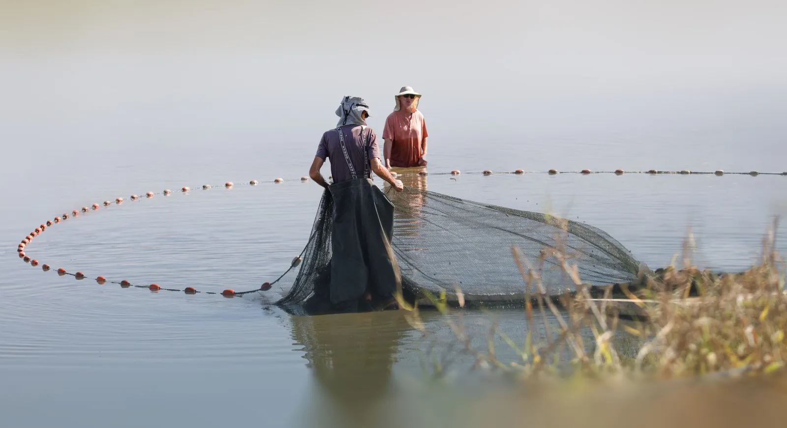 Dua orang menarik jaring ikan di perairan dangkal