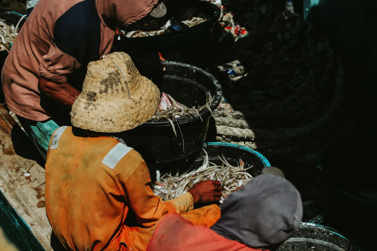 Nelayan memilah ikan di perahu di Jawa Timur