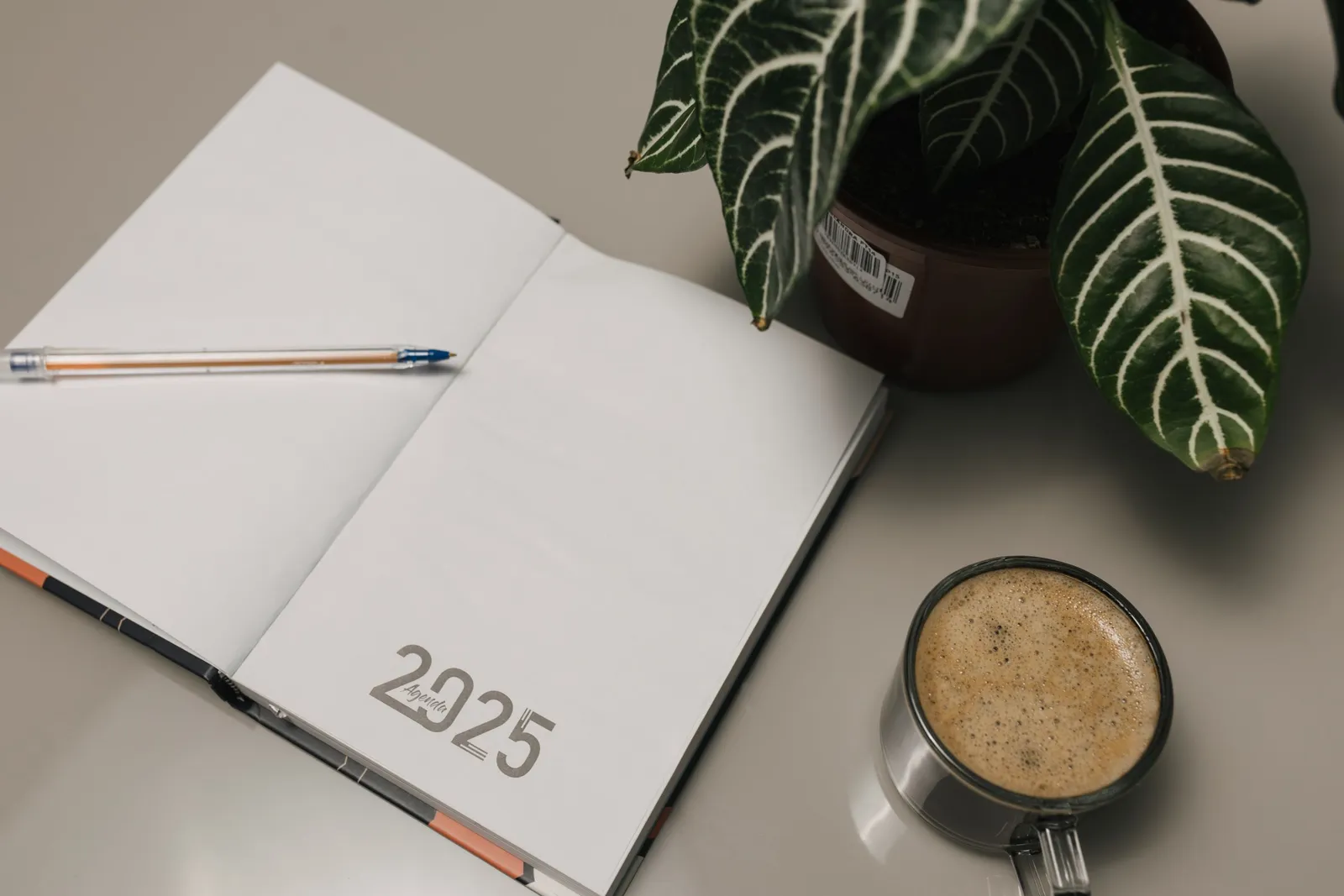 Buku agenda terbuka, kopi, dan tanaman di meja kerja