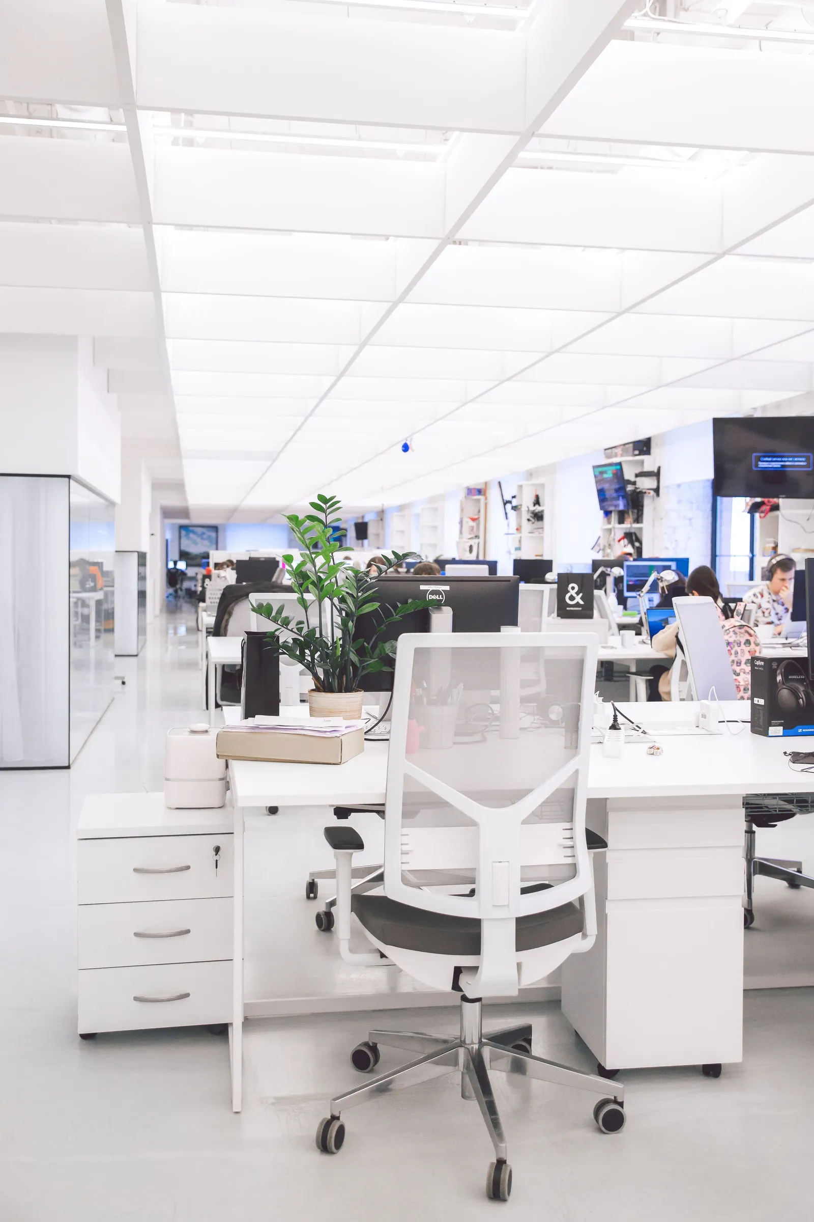 Interior kantor yang terang dan rapi