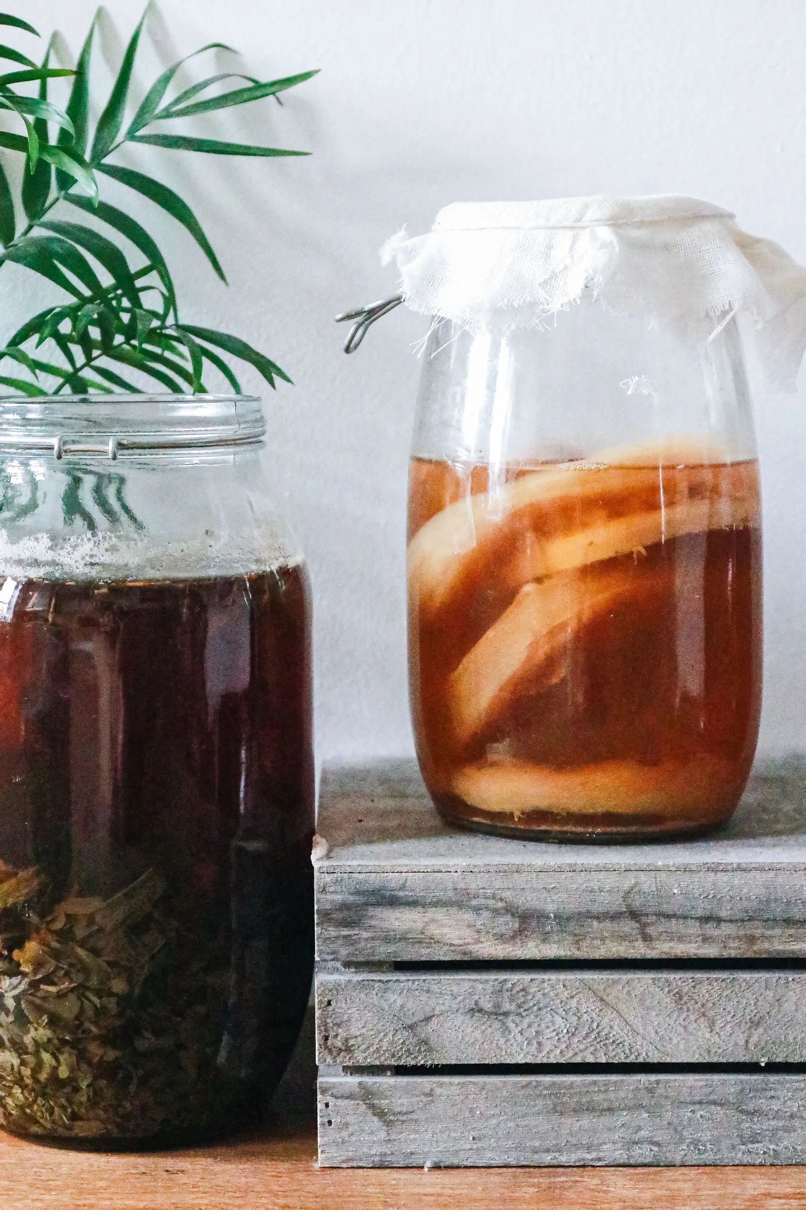 Toples kaca berisi minuman hasil fermentasi