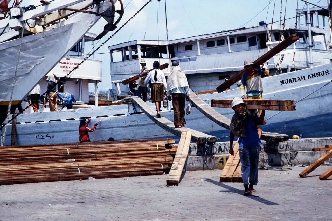 Pekerja memuat kayu ke kapal di pelabuhan