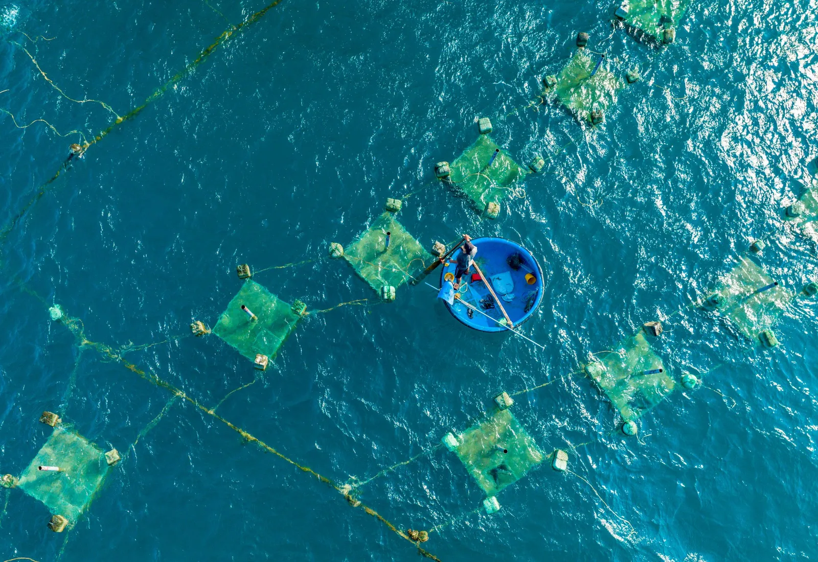 Pembudidaya bekerja di keramba ikan di laut dilihat dari atas