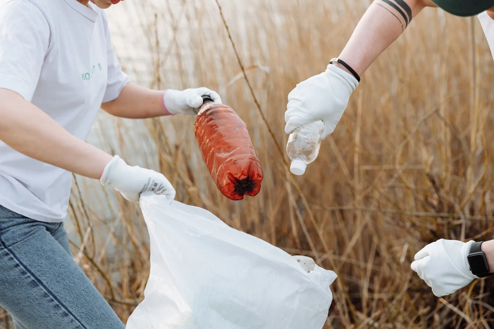 Relawan memungut sampah plastik ke kantong